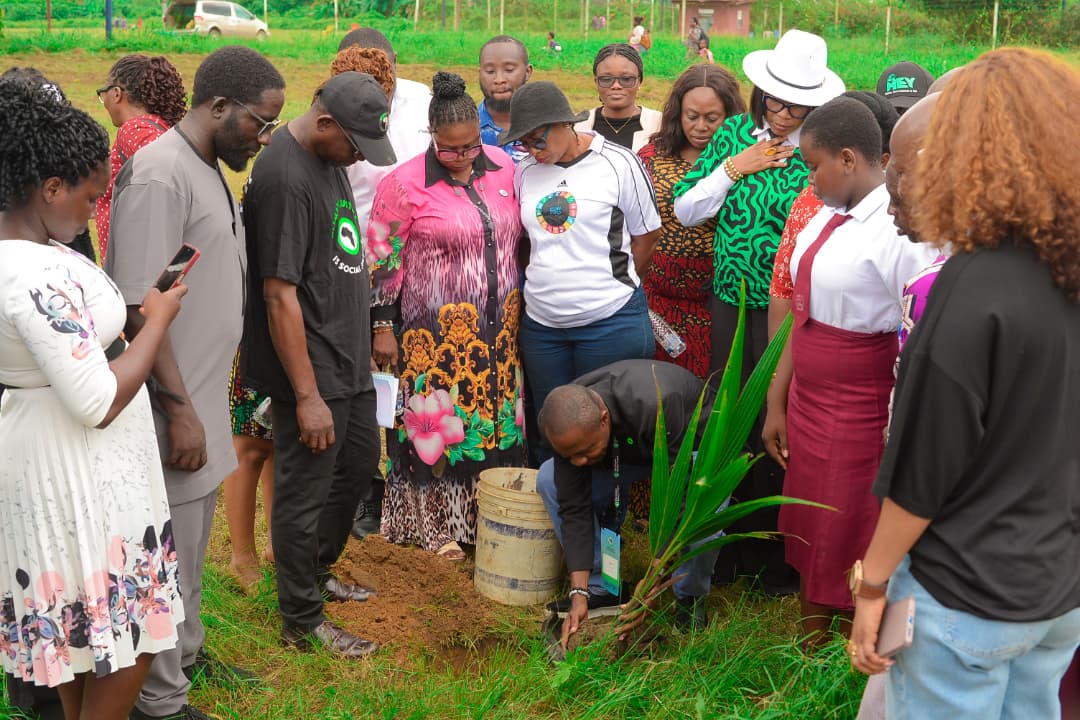 QGDF tree planting activity